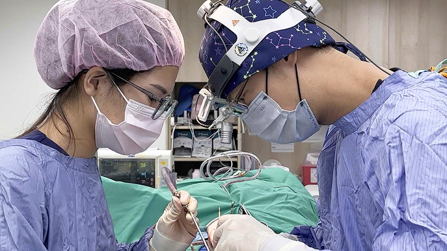 IMG_2457.MOV_snapshot_00.05.930