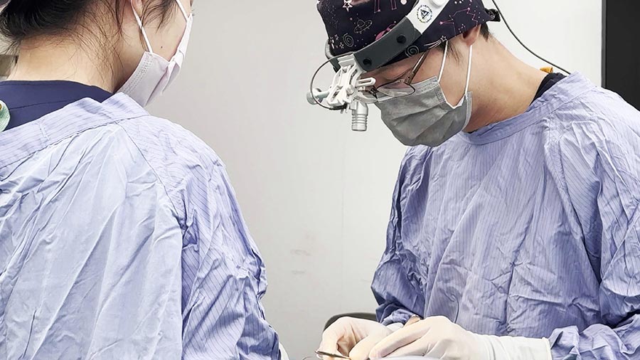 IMG_4142.MOV_snapshot_00.00.367